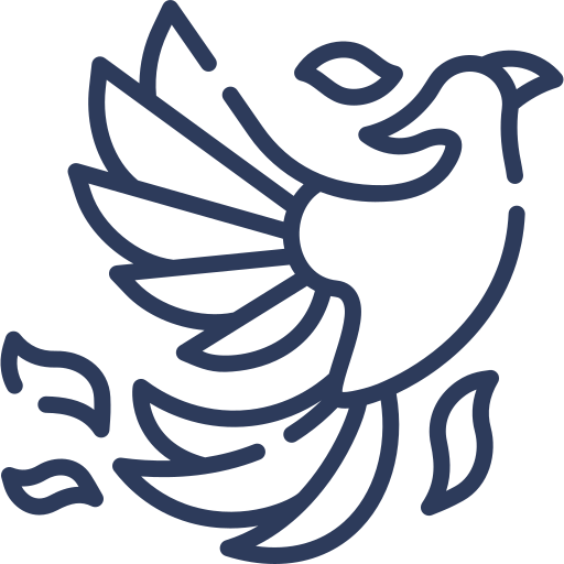 VUELA