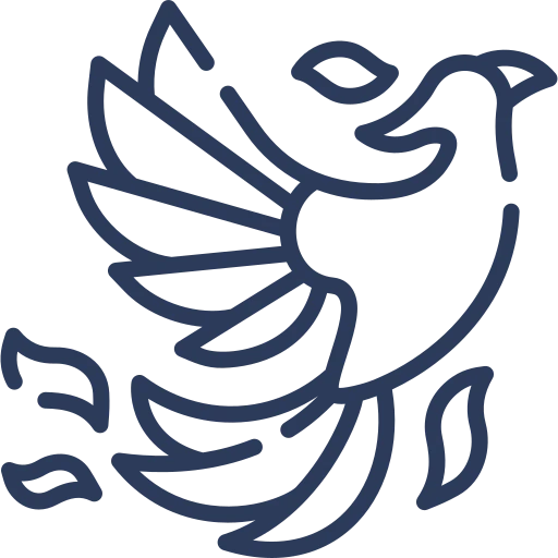 Logo paquete VUELA reportes